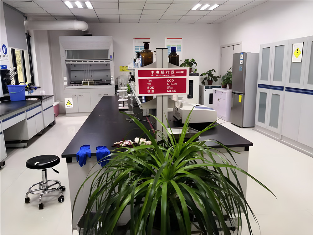 步履堅定,共繪高質量發展新篇章