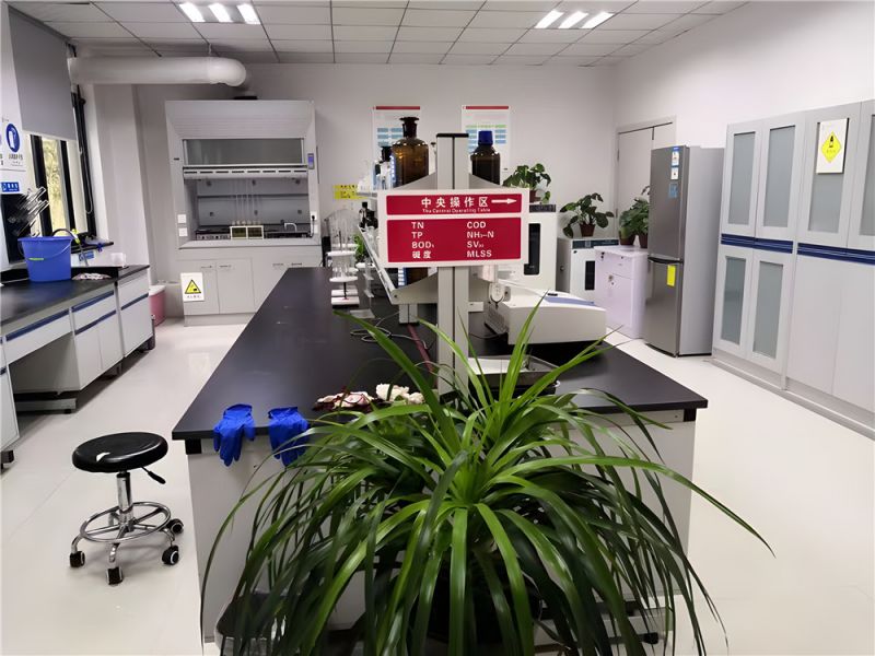 步履堅定，共繪高質量發展新篇章